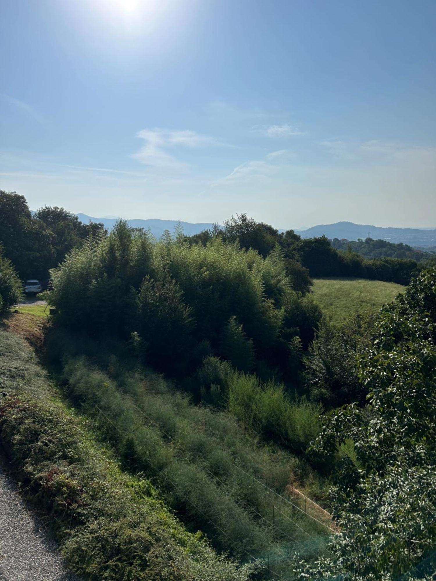 Agriturismo Al Robale Almenno San Bartolomeo エクステリア 写真