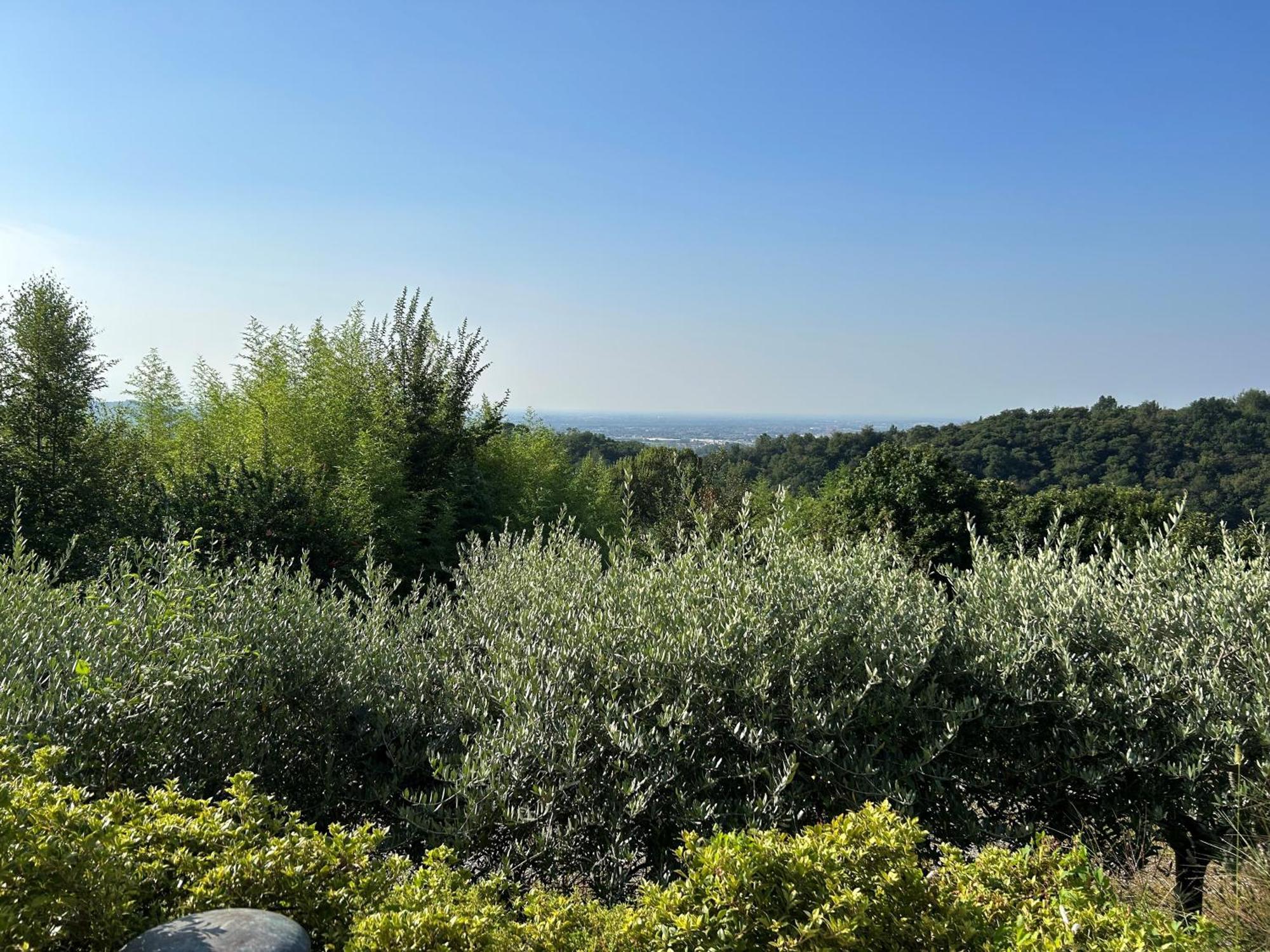 Agriturismo Al Robale Almenno San Bartolomeo エクステリア 写真